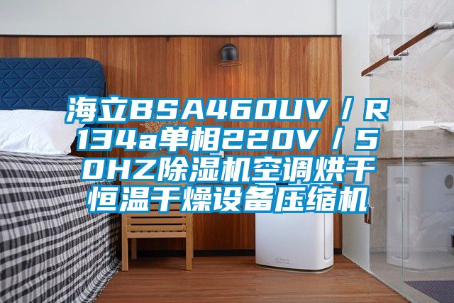 海立BSA460UV/R134a單相220V/50HZ除濕機(jī)空調(diào)烘干恒溫干燥設(shè)備壓縮機(jī)