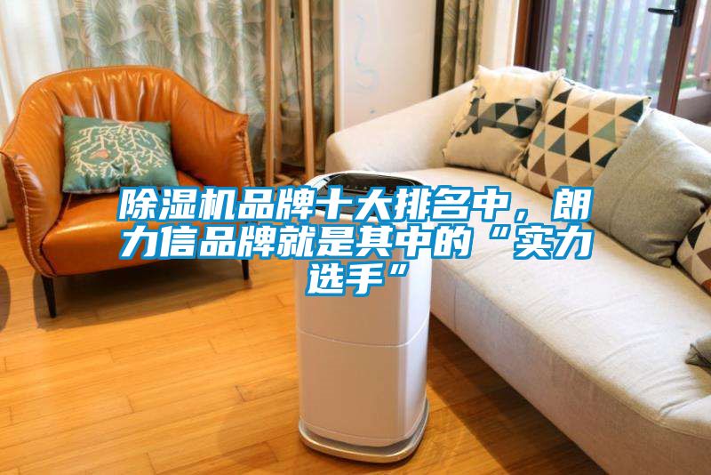 除濕機(jī)品牌十大排名中，朗力信品牌就是其中的“實(shí)力選手”