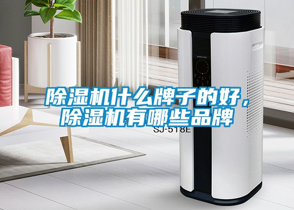 除濕機(jī)什么牌子的好，除濕機(jī)有哪些品牌