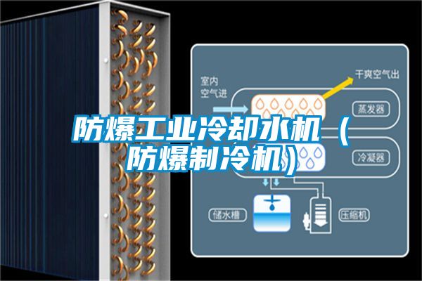 防爆工業(yè)冷卻水機(jī)(防爆制冷機(jī))
