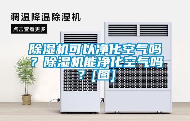 除濕機(jī)可以凈化空氣嗎？除濕機(jī)能凈化空氣嗎？[圖]