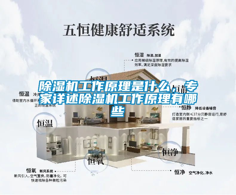 除濕機工作原理是什么，專家詳述除濕機工作原理有哪些
