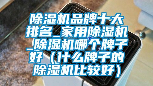 除濕機(jī)品牌十大排名_家用除濕機(jī)_除濕機(jī)哪個(gè)牌子好(什么牌子的除濕機(jī)比較好)