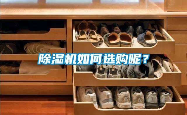 除濕機如何選購呢？