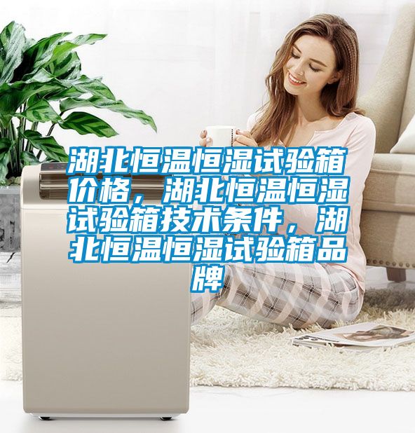 湖北恒溫恒濕試驗箱價格，湖北恒溫恒濕試驗箱技術(shù)條件，湖北恒溫恒濕試驗箱品牌