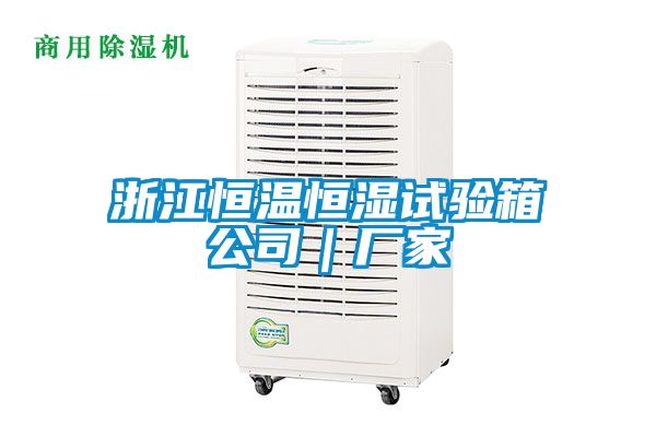 浙江恒溫恒濕試驗(yàn)箱公司|廠家