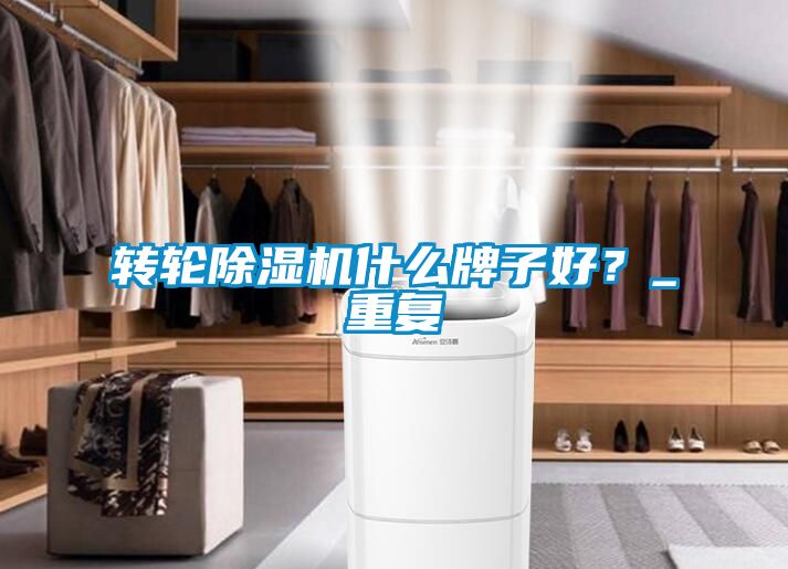 轉(zhuǎn)輪除濕機什么牌子好？_重復