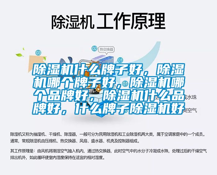 除濕機(jī)什么牌子好，除濕機(jī)哪個(gè)牌子好，除濕機(jī)哪個(gè)品牌好，除濕機(jī)什么品牌好，什么牌子除濕機(jī)好