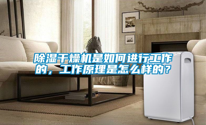 除濕干燥機(jī)是如何進(jìn)行工作的，工作原理是怎么樣的？