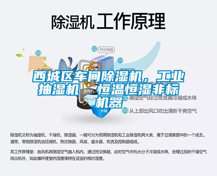 西城區(qū)車(chē)間除濕機(jī)，工業(yè)抽濕機(jī)  恒溫恒濕非標(biāo)機(jī)器