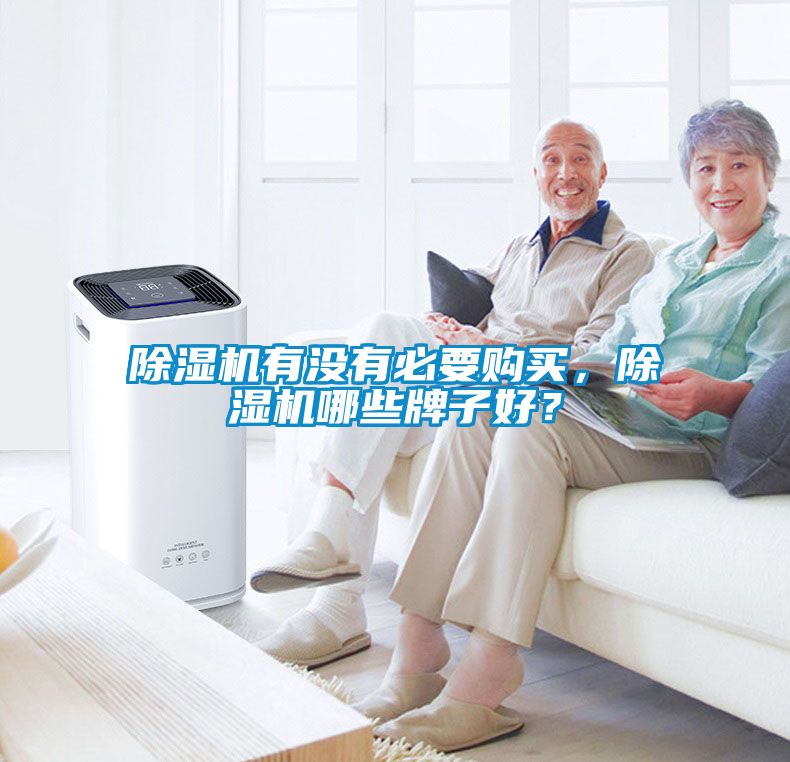 除濕機(jī)有沒有必要購(gòu)買，除濕機(jī)哪些牌子好？