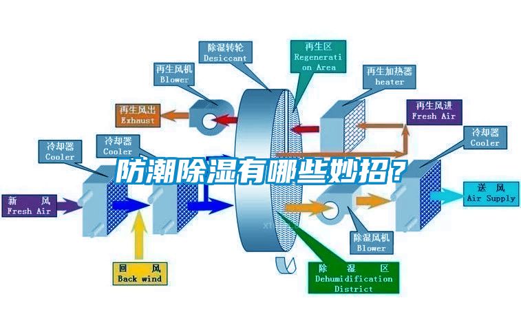 防潮除濕有哪些妙招？