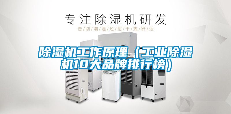 除濕機(jī)工作原理(工業(yè)除濕機(jī)10大品牌排行榜)