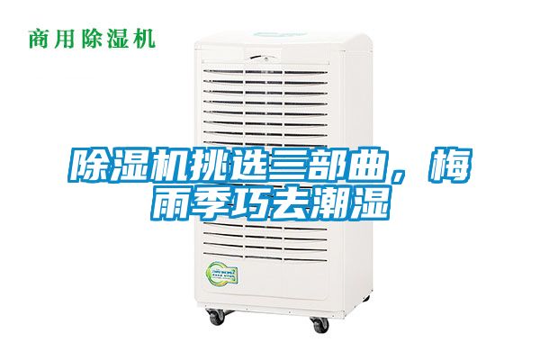 除濕機(jī)挑選三部曲，梅雨季巧去潮濕