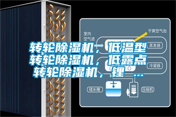 轉(zhuǎn)輪除濕機(jī)，低溫型轉(zhuǎn)輪除濕機(jī)，低露點(diǎn)轉(zhuǎn)輪除濕機(jī)，鋰 ...