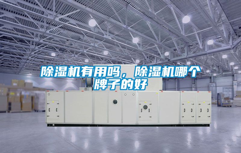 除濕機有用嗎，除濕機哪個牌子的好