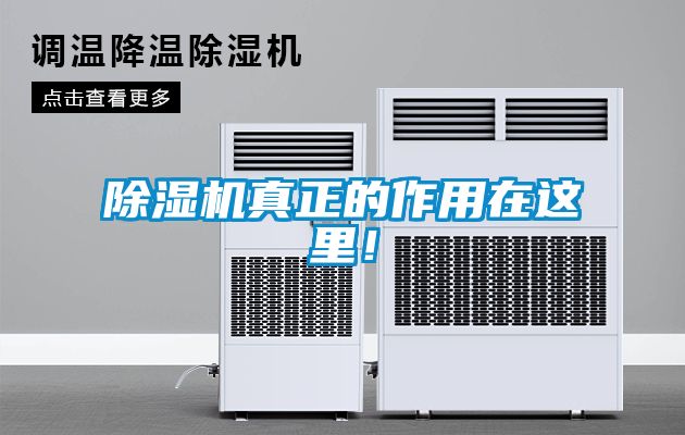 除濕機真正的作用在這里！