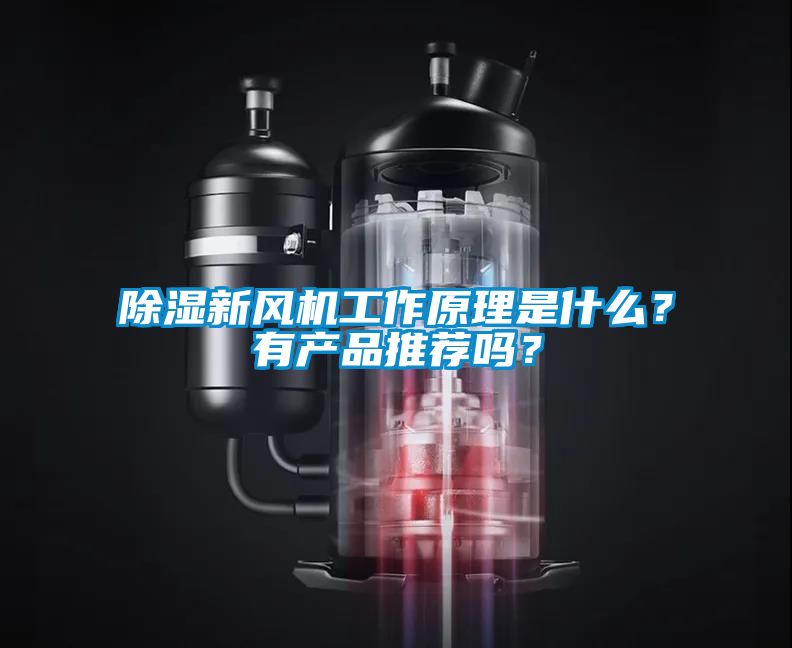 除濕新風(fēng)機(jī)工作原理是什么？有產(chǎn)品推薦嗎？