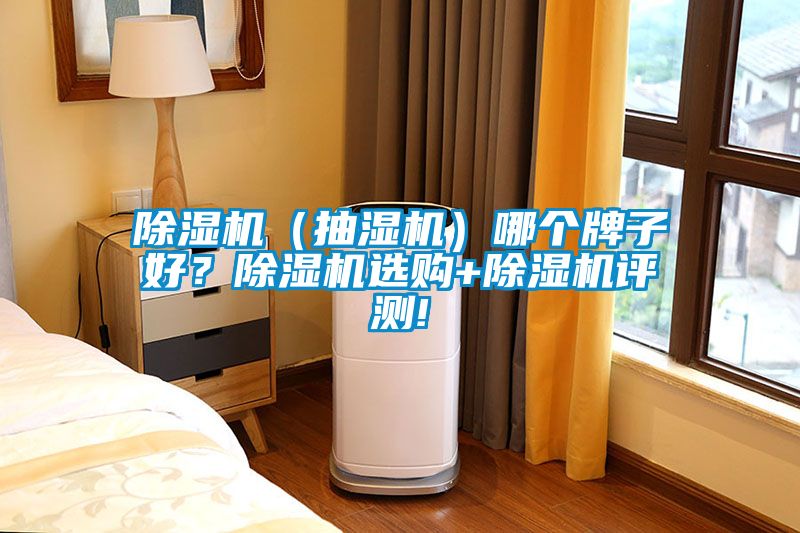 除濕機(jī)（抽濕機(jī)）哪個(gè)牌子好？除濕機(jī)選購+除濕機(jī)評測!