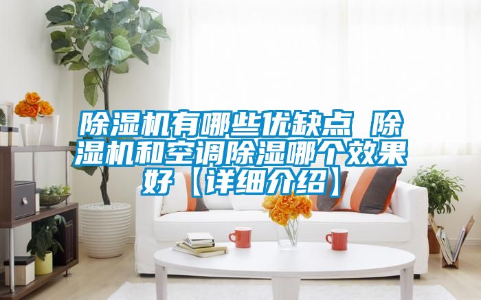 除濕機(jī)有哪些優(yōu)缺點(diǎn) 除濕機(jī)和空調(diào)除濕哪個效果好【詳細(xì)介紹】