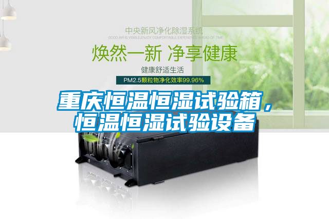 重慶恒溫恒濕試驗(yàn)箱，恒溫恒濕試驗(yàn)設(shè)備