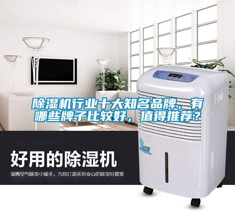 除濕機(jī)行業(yè)十大知名品牌，有哪些牌子比較好，值得推薦？