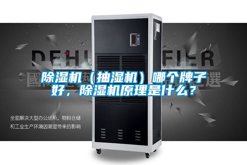 除濕機(jī)（抽濕機(jī)）哪個(gè)牌子好，除濕機(jī)原理是什么？