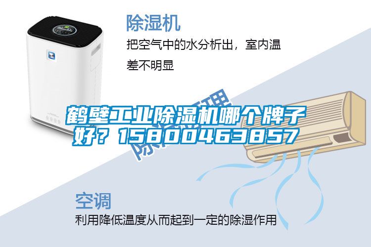 鶴壁工業(yè)除濕機(jī)哪個(gè)牌子好？15800463857
