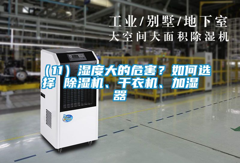 （11）濕度大的危害？如何選擇 除濕機(jī)、干衣機(jī)、加濕器