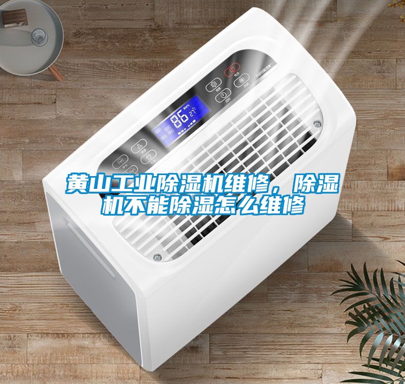 黃山工業(yè)除濕機(jī)維修，除濕機(jī)不能除濕怎么維修